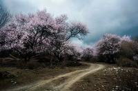 孩子总是尿床怎么办呢