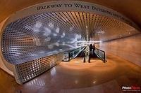 一般来说鱼腥草婴儿可以吃吗