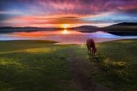 婴儿尿不湿哪个牌子好 宝宝适合才是最重要