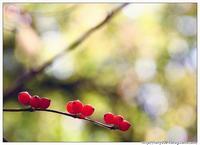 宝宝慢性鼻炎的症状有哪些