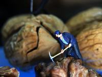 和孩子一起读童话书的四要点