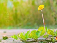 怎样让孩子提高记忆力