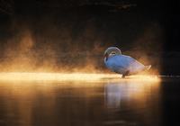 孩子厌学高中生父母怎么样去沟通