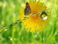 儿童餐椅有用吗？儿童餐椅哪种好