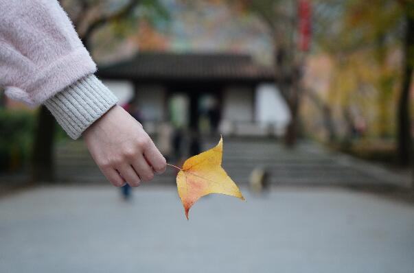 怀孕37周吃什么好?怀孕37周的健康饮食推荐 怀孕37周吃什么好?怀孕37周的健康饮食推荐