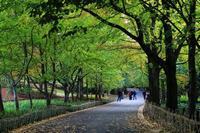 剖腹产一个月刀口里面疼怎么回事