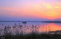 儿童驼背怎样矫正呢