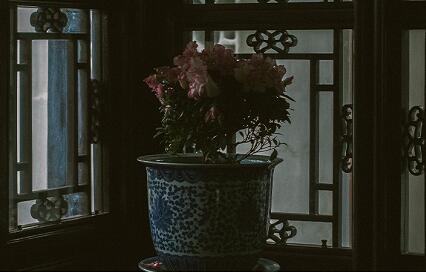 家长错怪了孩子怎么办