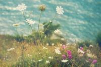 玩具童车是什么