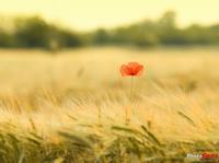 孩子最不喜欢9类妈妈 你被列入其中吗？