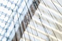 小孩补脑食谱有哪些？