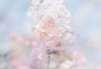 儿童爬行垫什么牌子好