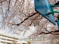 怀孕37周胎儿发育情况，怀孕37周的注意事项