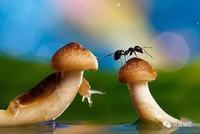 学步车对孩子的影响