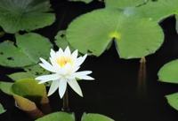 儿童游泳池