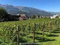 孩子自尊心太强怎么引导