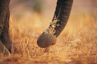 爸爸妈妈 请尊重我的“不听话”