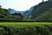 宝宝拉肚子可以喝盐开水吗？