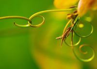 微观调控在教学中的应用