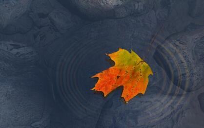 17岁叛逆管不了怎么办