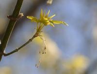 毛绒玩具怎么清洗？如何选购毛绒玩具