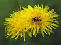 家长如何与孩子沟通